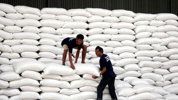 Kaltim Kejar Target Swasembada Beras, Sinergi Pusat dan Daerah Jadi Kunci