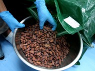 7 Manfaat Konsumsi Dark Cokelat yang Jarang Diketahui