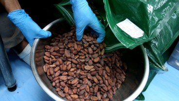 7 Manfaat Konsumsi Dark Cokelat yang Jarang Diketahui