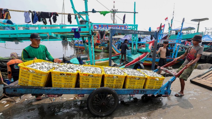 Strategi Pemerintah Antisipasi Ancaman Tarif Impor AS ke Produk Perikanan
