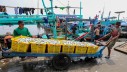 Strategi Pemerintah Antisipasi Ancaman Tarif Impor AS ke Produk Perikanan