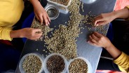Pengangguran dan Pekerja Informal Naik, Kepatuhan Pajak Turun