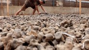 Perang India-Pakistan Berdampak pada Harga Komoditas Gambir di Sumbar