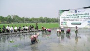 Food Station Gelar Kerja Sama Contract Farming dengan Gapoktan di Rorotan