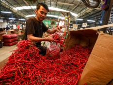Harga Pangan 13 Mei 2025: Cabai Merah Keriting Turun, Daging Ayam Naik