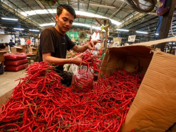 Harga Pangan 13 Mei 2025: Cabai Merah Keriting Turun, Daging Ayam Naik