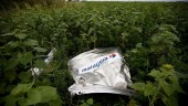Rusia Diputus Bersalah Atas Penembakan Pesawat Malaysia Airlines di Ukraina