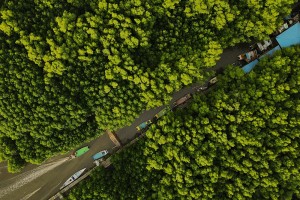 Potensi Habitat Mangrove di Sulawesi Selatan