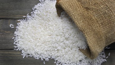 Kementan Tahan Bantuan Bansos Beras, Was-was Harga Gabah Anjlok