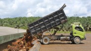 PREMIUM NOTES: Guyuran Dividen Emiten, Nasib Sawit RI, hingga SBN Ritel Pilihan Investor