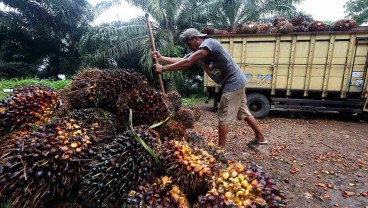 Pungutan Ekspor CPO Naik, Kemendag Bakal Pacu Produk Hilir Sawit