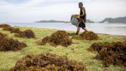 Langkah KKP Capai Target Konservasi Laut Nasional di 2045