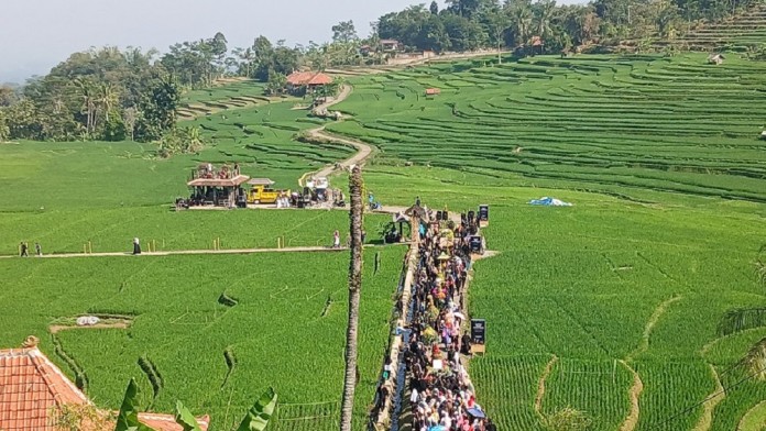 Lahan BPP Jadi Senjata Petani Indramayu, Tapi Mati Gaya di Cirebon