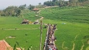 Lahan BPP Jadi Senjata Petani Indramayu, Tapi Mati Gaya di Cirebon