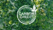 Pasar Karbon Asia Tenggara masih Jauh dari Potensi Optimal