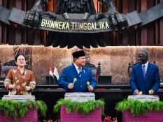 Puan Tolak Relokasi Warga Gaza, Mardani Ali Sera Tetap Bela Prabowo