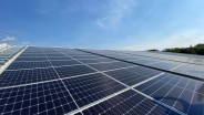 Muluskan Proyek Ekspor Listrik, Vanda RE Serap Modul PV 1 Gigawatt Ber-TKDN