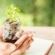 Bank Kecil dan Menengah Ikut Tawarkan Bunga Tinggi, Ada yang 7% per Tahun