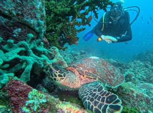 Wisata Bahari di Pulau Weh