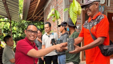 Pembiayaan Pengembangan Kakao di Jembrana Terealisasi Rp1,39 Miliar