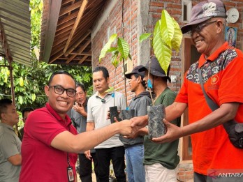 Pembiayaan Pengembangan Kakao di Jembrana Terealisasi Rp1,39 Miliar