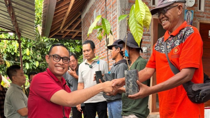 Pembiayaan Pengembangan Kakao di Jembrana Terealisasi Rp1,39 Miliar