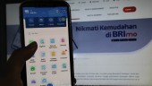 BRI Lihat Peluang Ekspansi di Tengah Transisi Ekonomi, Tetap Prioritaskan Kehati-hatian