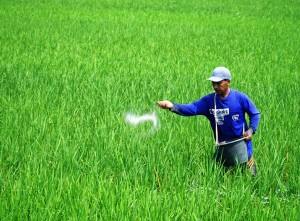 Alokasi Pupuk Bersubsidi di Jawa Timur Mengalami Penurunan Akibat Serapan 2024 Tidak Mencapai 100%