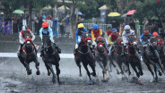 Indonesia’s Horse Racing (IHR): King Argentine Dapat Ciptakan Sejarah