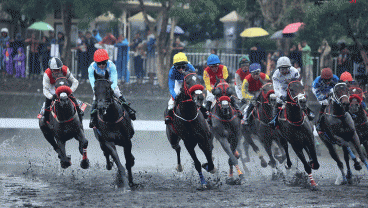 Indonesia’s Horse Racing (IHR): King Argentine Dapat Ciptakan Sejarah