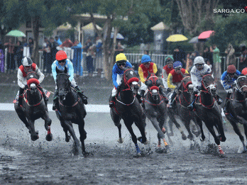 Indonesia’s Horse Racing (IHR): King Argentine Dapat Ciptakan Sejarah