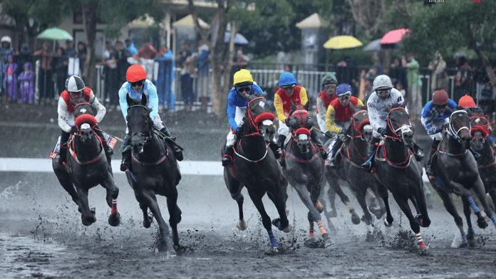 Indonesia’s Horse Racing (IHR): King Argentine Dapat Ciptakan Sejarah