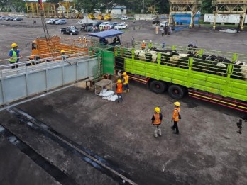 Barantin Cek 1.138 Sapi Asal Australia di Tanjung Intan Cilacap
