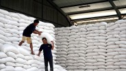 Penyerapan Masuk 5 Besar Nasional, Bulog Sumsel Babel Tambah Kapasitas Gudang 35.000 Ton