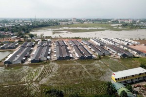 Penyusutan Lahan Sawah Nasional Menjadi Ancaman Bagi Ketahanan Pangan Nasional