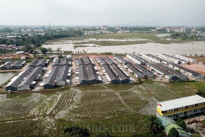 Penyusutan Lahan Sawah Nasional Menjadi Ancaman Bagi Ketahanan Pangan Nasional