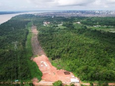 Bank Pembangunan Brasil BNDES Danai Startup Rp231 Miliar untuk Reforestasi Hutan