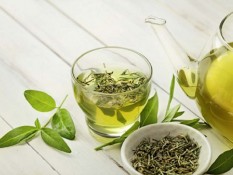 Produksi Teh Garut Menurun, Penyusutan Lahan Jadi Pemicu Utama