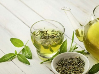 Produksi Teh Garut Menurun, Penyusutan Lahan Jadi Pemicu Utama