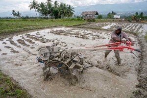 Kementan Siapkan Anggaran Rp10 Triliun Untuk Meningkatkan Produktivitas Pertanian