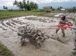 Kementan Siapkan Anggaran Rp10 Triliun Untuk Meningkatkan Produktivitas Pertanian