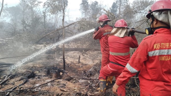 Enam Wilayah Jadi Prioritas Antisipasi dan Penanganan Karhutla Sumsel