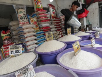 Indonesia Remains Cautious on Rice Exports to Malaysia