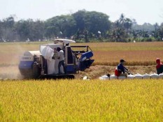 Pemprov Sulsel akan Bagikan 5 Juta Kilogram Bantuan Benih Padi ke Petani
