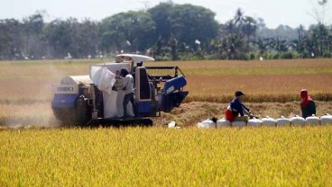 Pemprov Sulsel akan Bagikan 5 Juta Kilogram Bantuan Benih Padi ke Petani