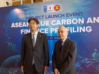 Jepang dan UNDP Kolaborasi Petakan Potensi Karbon Biru Asean