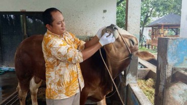 Kiat Memilih Hewan Kurban yang Sehat dan Tepat versi Akademisi