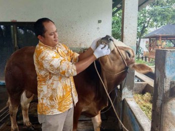 Kiat Memilih Hewan Korban yang Sehat dan Tepat versi Akademisi
