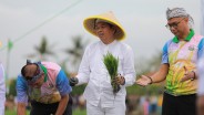 KDM Dukung Swasembada Pangan di Lahan Aset Negara