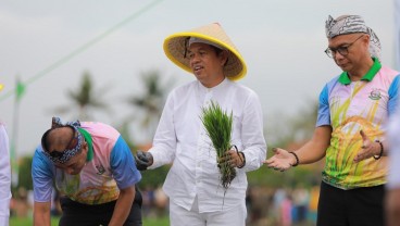 KDM Dukung Swasembada Pangan di Lahan Aset Negara